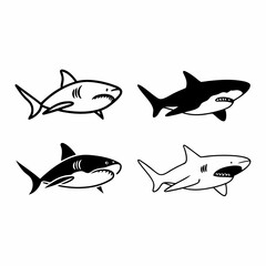 shark vector 