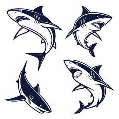 shark vector 