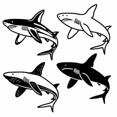 shark vector 