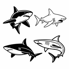 shark vector 