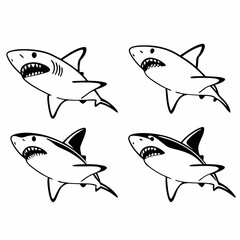shark vector 