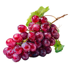 Fototapeta premium A close-up view of a luscious bunch of ripe, red grapes, ready to be enjoyed.