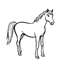 Obraz premium Horse Illustration on White Background for Animal Lovers, Creative Projects, Educational Materials, and Children’s Books