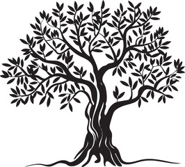 Elegant silhouette of a mature olive tree.