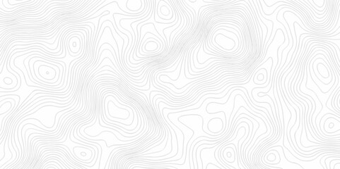 White wave paper curved reliefs abstract background. Lines Topographic contour lines map seamless pattern. Landscape geo topographic map background.