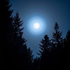 Naklejka premium Moonlit forest silhouette at night 