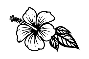 Hibiscus flower silhouette vector, Hibiscus flower line art, Hibiscus Flowers Isolated, Floral Design Elements.