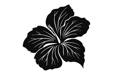 Fototapeta premium Hibiscus flower silhouette vector, Hibiscus flower line art, Hibiscus Flowers Isolated, Floral Design Elements.