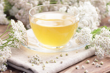 Yarrow flower tea in glass cup with plant, naturopathy and natural medicine concept