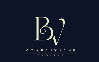 BV abstract Logo. Elegantly Designed Minimalist Monogram Logo with Stylish Lettering. Sophisticated and sleek minimalist monogram showcasing unique lettering design.