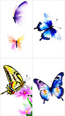 Fototapeta premium Watercolor Butterfly With No Background (4 in 1, clothing print)
