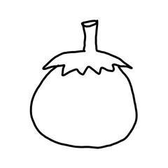 Tomato line drawing. Simple Black Line Drawing of a Fruit or Vegetable.