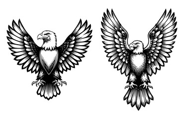 Fototapeta premium Two eagles wings spread in black and white vintage illustration