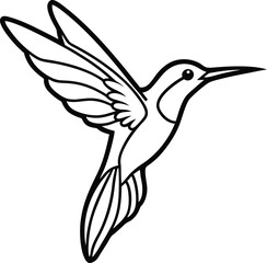 flying hummingbird vector