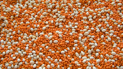 Red lentils and white beans scattered on a black background. Selective focus.