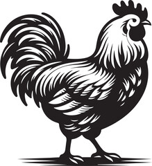 Silhouette vector of a chicken, perfect for farm, poultry, and animal-themed designs. Fully editable EPS file for creative projects.