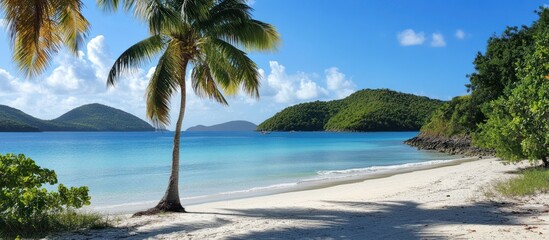 Fototapeta na wymiar Beautiful tropical beach scene featuring palm trees and blue waters