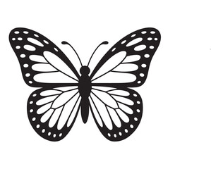 Fototapeta premium butterfly vector on white background