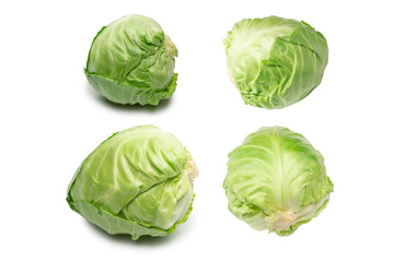 Cabbage isolated on white background.