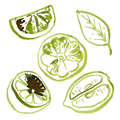 Watercolor hand drawn lemon slices lemons and lemon halfs. Brush freehand style lines, sketch style. Can use as print, poster, invitation, greeting card, element design, textile, label.