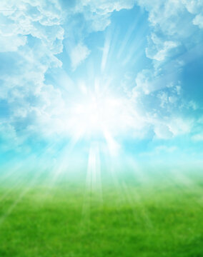 Spring grass and sky background