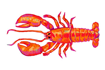 Lobster summer Tropical shrimp sea seafood restaurant cafe Hand Drawn on transparent background