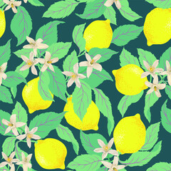 Lemon summer seamless vector pattern. Botanical tropic illustration. Vintage print.