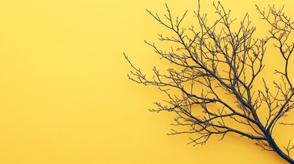 Obraz premium The image features an organic tree branch growing against a vibrant abstract yellow background