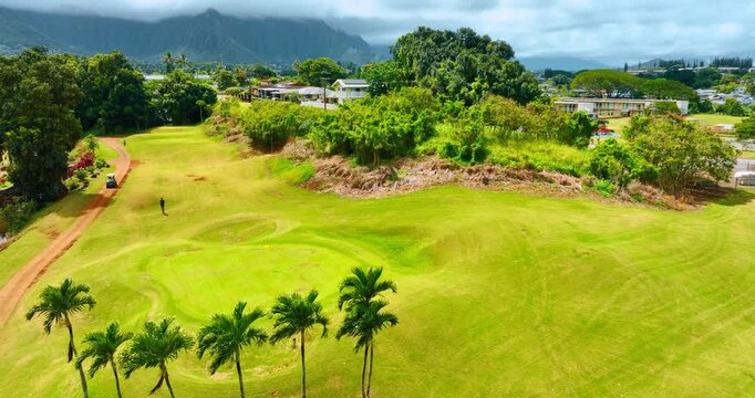 Few palm trees on the uneven golf course. Male player walks by the field. Aerial view. Oahu, Hawaii, USA.