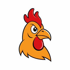 rooster isolated on white background