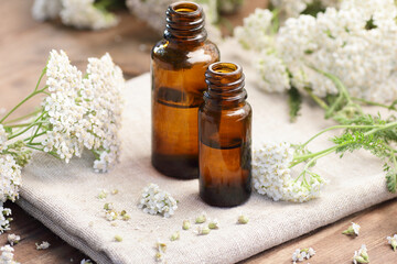 Yarrow flower essential oil or extract in glass amber bottles, naturopathy and natural medicine concept