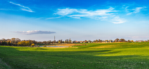 Obraz premium Spring landscape in which you can see growing grain and empty fields
