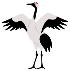 Crane, cranebird, avian, bird and animal. Wildlife and nature, migration, ornithology, illustration