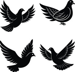 Obraz premium Dove Silhouette vector
