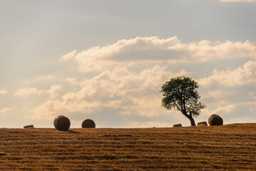 rural countryside landscape during a sunny summer day inside Val d'Agri, Basilicata