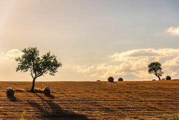 Obraz premium rural countryside landscape during a sunny summer day inside Val d'Agri, Basilicata