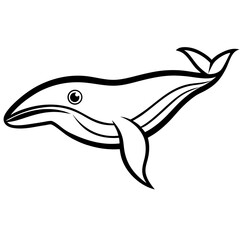Obraz premium Whale Head Vector Illustration | Animal Graphic Design File