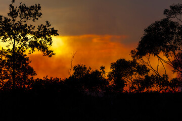 Photograph of controlled hazard reduction burning by the Rural Fire Service to minimise bushfire risk in the Blue Mountains in NSW, Australia.