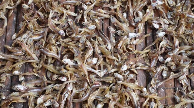 Small fish caught from the sea have been cleaned and placed on bamboo platforms to dry in the sun at Nazirartek, Cox's Bazar District.