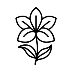 amaryllis flower line drawn vector art - illustration amaryllis flower isolated transparent background