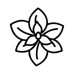 amaryllis flower line drawn vector art - illustration amaryllis flower isolated transparent background