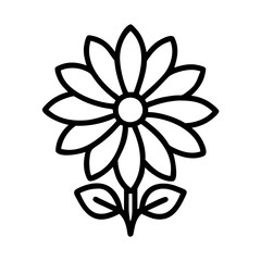 aster flower line drawn vector art - illustration aster flower isolated transparent background
