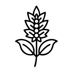 astilbe flower line drawn vector art - illustration astilbe flower isolated transparent background