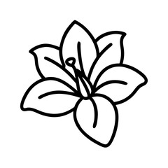 azalea flower line drawn vector art - illustration azalea flower isolated transparent background