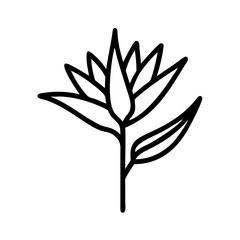 bird of paradise flower line drawn vector art - illustration bird of paradise flower isolated transparent background