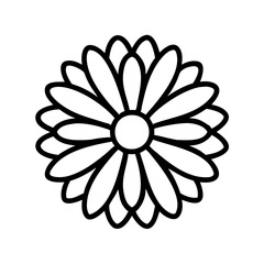 calendula flower line drawn vector art - illustration calendula flower isolated transparent background