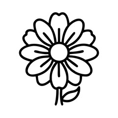 calendula flower line drawn vector art - illustration calendula flower isolated transparent background