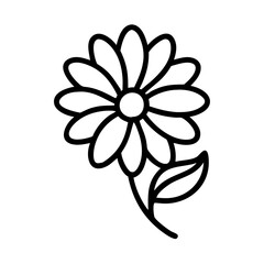 calendula flower line drawn vector art - illustration calendula flower isolated transparent background