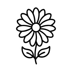 calendula flower line drawn vector art - illustration calendula flower isolated transparent background