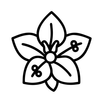 recommend clip art: bougainvillea flower line drawn vector art - illustration bougainvillea flower isolated transparent background